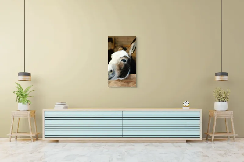 Tablou Canvas, "Măgărușul din grajdul liniștit", Nu știu cine este în imagine., 50 x 90 cm – poza 6