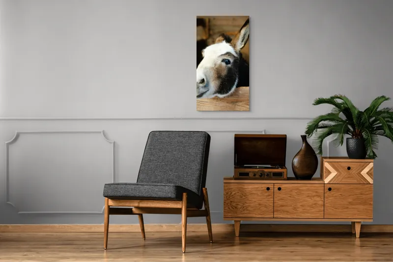 Tablou Canvas, "Măgărușul din grajdul liniștit", Nu știu cine este în imagine., 50 x 90 cm – poza 8
