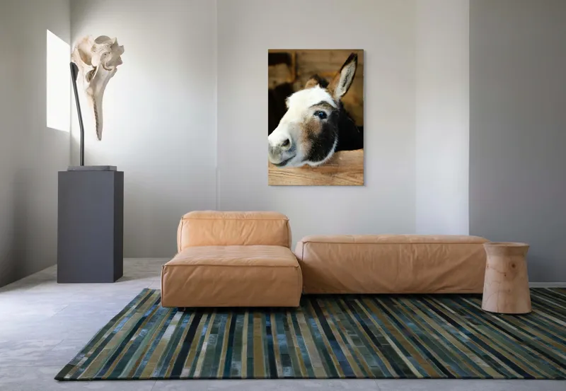 Tablou Canvas, "Măgărușul din grajdul liniștit", 70 x 100 cm – poza 7