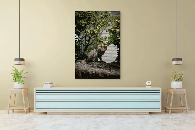 Tablou Canvas, "Pisica pe stâncă printre frunze", Pisică, Tufișuri, Zid, Natură, Verdeață, Pământ, Blană, Privire., 100 x 150 cm – poza 4