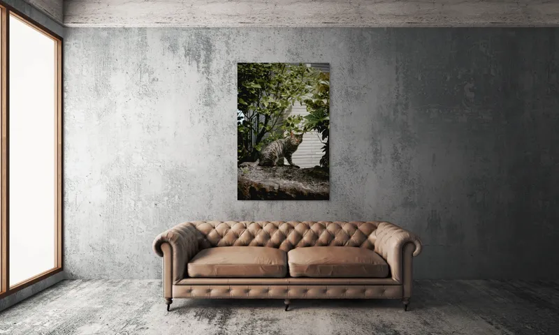 Tablou Canvas, "Pisica pe stâncă printre frunze", Pisică, Tufișuri, Zid, Natură, Verdeață, Pământ, Blană, Privire., 100 x 150 cm – poza 6