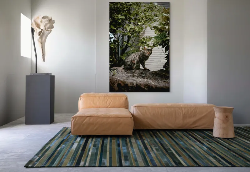 Tablou Canvas, "Pisica pe stâncă printre frunze", Pisică, Tufișuri, Zid, Natură, Verdeață, Pământ, Blană, Privire., 100 x 150 cm – poza 7