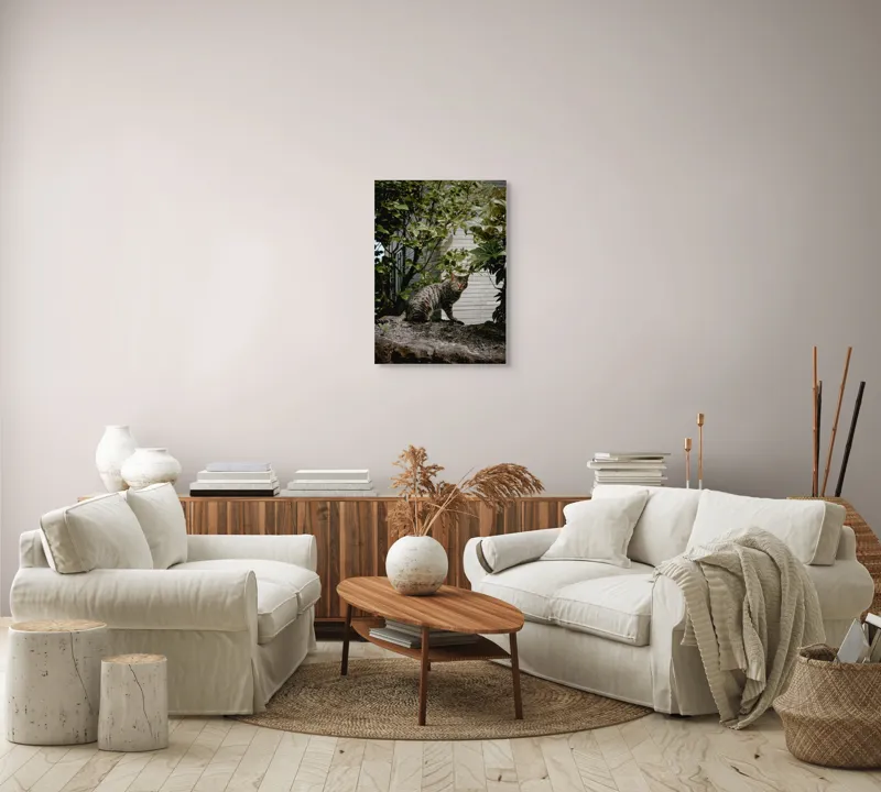Tablou Canvas, "Pisica pe stâncă printre frunze", Pisică, Tufișuri, Zid, Natură, Verdeață, Pământ, Blană, Privire., 50 x 70 cm – poza 4