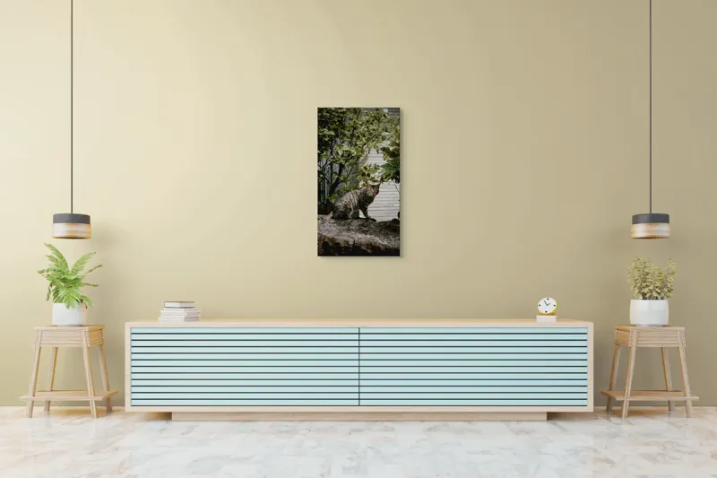 Tablou Canvas, "Pisica pe stâncă printre frunze", Pisică, Tufișuri, Zid, Natură, Verdeață, Pământ, Blană, Privire., 50 x 90 cm – poza 6
