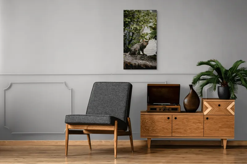 Tablou Canvas, "Pisica pe stâncă printre frunze", Pisică, Tufișuri, Zid, Natură, Verdeață, Pământ, Blană, Privire., 50 x 90 cm – poza 8