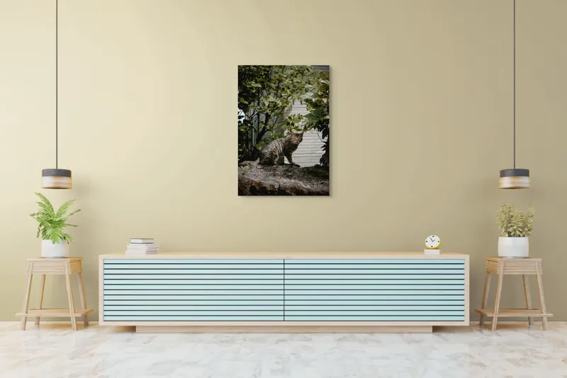 Tablou Canvas, "Pisica pe stâncă printre frunze", Pisică, Tufișuri, Zid, Natură, Verdeață, Pământ, Blană, Privire., 70 x 100 cm – poza 5