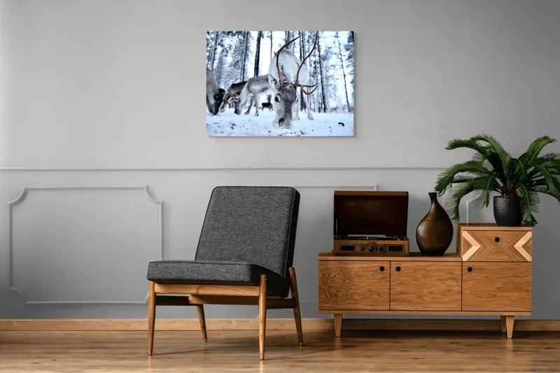 Tablou Canvas, "Renii în căutarea hranei în zăpadă", Ren, Zăpadă, Pădure, Coarne, Iarnă, Animale, Natură, Frig, Nordic, Căutare, 100 x 70 cm – poza 8