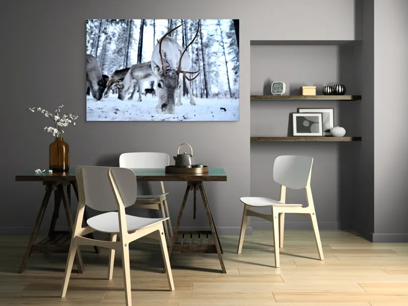 Tablou Canvas, "Renii în căutarea hranei în zăpadă", Ren, Zăpadă, Pădure, Coarne, Iarnă, Animale, Natură, Frig, Nordic, Căutare, 150 x 100 cm – poza 5