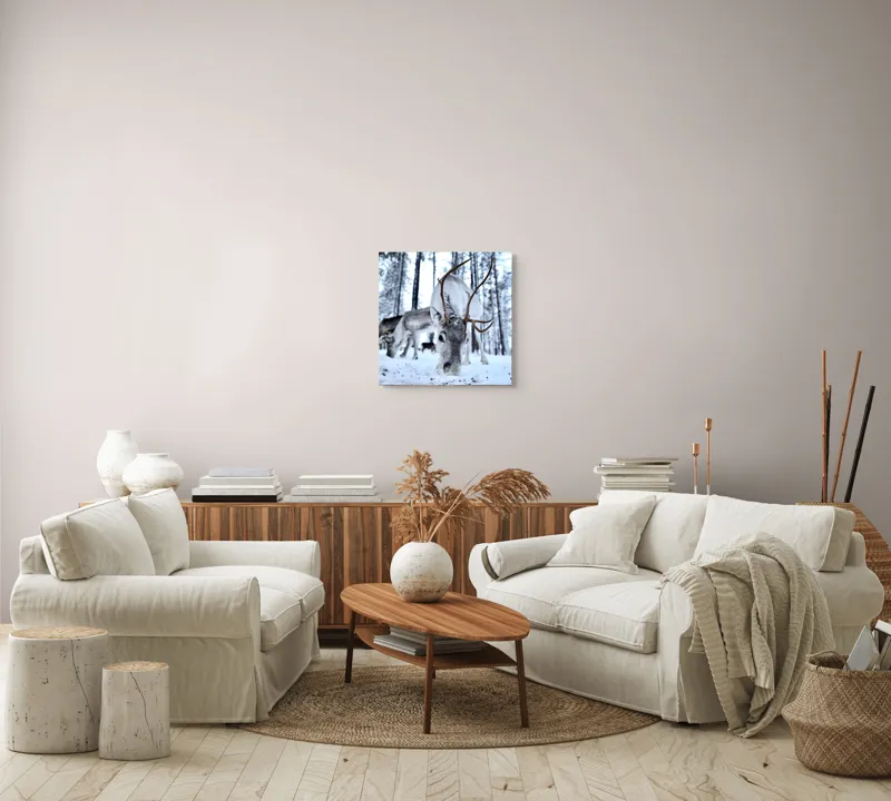 Tablou Canvas, "Renii în căutarea hranei în zăpadă", Ren, Zăpadă, Pădure, Coarne, Iarnă, Animale, Natură, Frig, Nordic, Căutare, 50 x 50 cm – poza 7