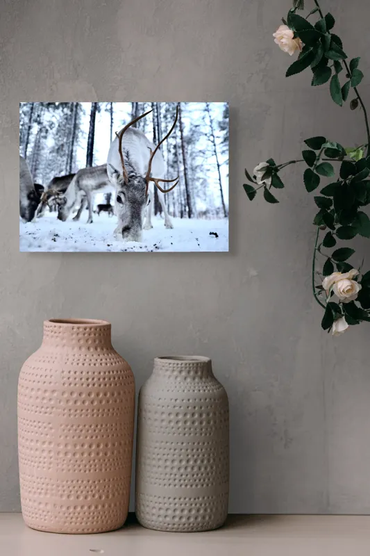 Tablou Canvas, "Renii în căutarea hranei în zăpadă", Ren, Zăpadă, Pădure, Coarne, Iarnă, Animale, Natură, Frig, Nordic, Căutare, 54 x 39 cm – poza 8