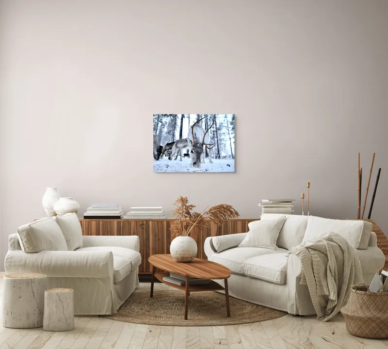 Tablou Canvas, "Renii în căutarea hranei în zăpadă", Ren, Zăpadă, Pădure, Coarne, Iarnă, Animale, Natură, Frig, Nordic, Căutare, 70 x 50 cm – poza 6
