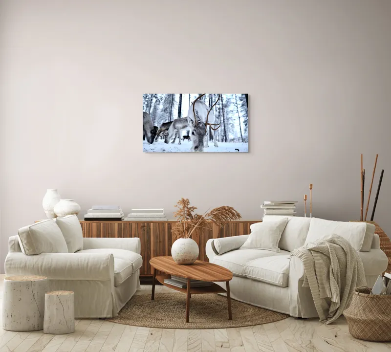 Tablou Canvas, "Renii în căutarea hranei în zăpadă", Ren, Zăpadă, Pădure, Coarne, Iarnă, Animale, Natură, Frig, Nordic, Căutare, 90 x 50 cm – poza 4