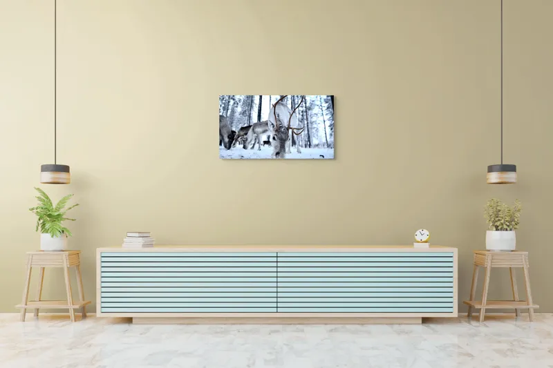 Tablou Canvas, "Renii în căutarea hranei în zăpadă", Ren, Zăpadă, Pădure, Coarne, Iarnă, Animale, Natură, Frig, Nordic, Căutare, 90 x 50 cm – poza 5