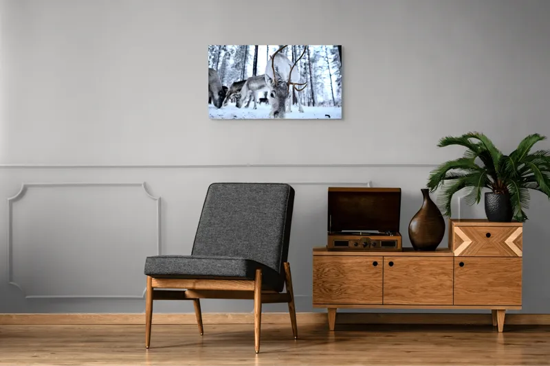 Tablou Canvas, "Renii în căutarea hranei în zăpadă", Ren, Zăpadă, Pădure, Coarne, Iarnă, Animale, Natură, Frig, Nordic, Căutare, 90 x 50 cm – poza 6