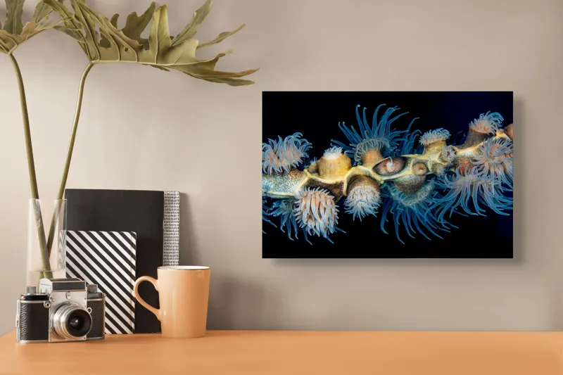 Tablou Canvas, "Dansul exotic al coralilor subacvatici", Flori, Coral, Tentacule, Albastru, Marin, Complexitate, Frumusețe, Natură, Biodiversitate, Ocean., 39 x 26 cm – poza 3