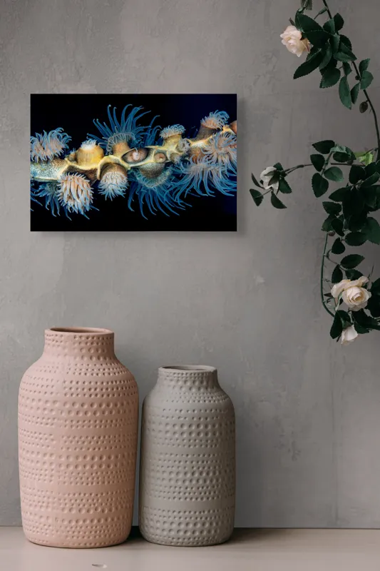 Tablou Canvas, "Dansul exotic al coralilor subacvatici", Flori, Coral, Tentacule, Albastru, Marin, Complexitate, Frumusețe, Natură, Biodiversitate, Ocean., 39 x 26 cm – poza 4