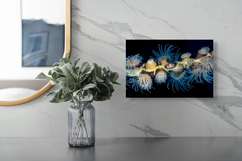 Tablou Canvas, "Dansul exotic al coralilor subacvatici", Flori, Coral, Tentacule, Albastru, Marin, Complexitate, Frumusețe, Natură, Biodiversitate, Ocean., 39 x 26 cm – poza 5
