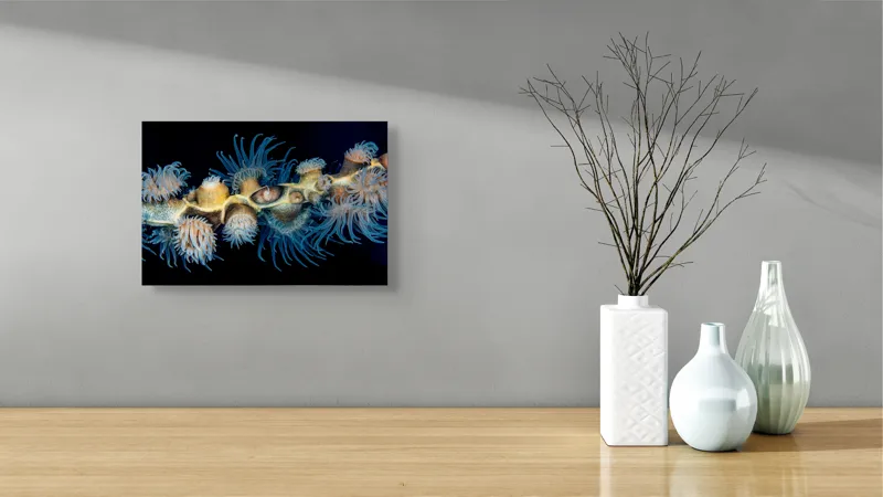 Tablou Canvas, "Dansul exotic al coralilor subacvatici", Flori, Coral, Tentacule, Albastru, Marin, Complexitate, Frumusețe, Natură, Biodiversitate, Ocean., 39 x 26 cm – poza 8
