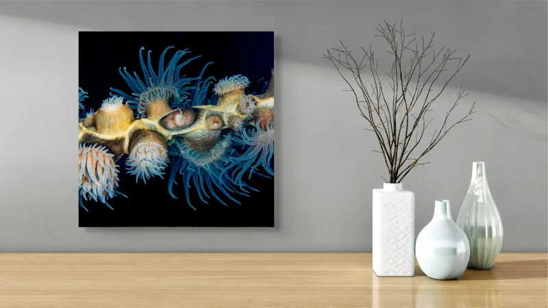 Tablou Canvas, "Dansul exotic al coralilor subacvatici", Flori, Coral, Tentacule, Albastru, Marin, Complexitate, Frumusețe, Natură, Biodiversitate, Ocean., 50 x 50 cm – poza 3