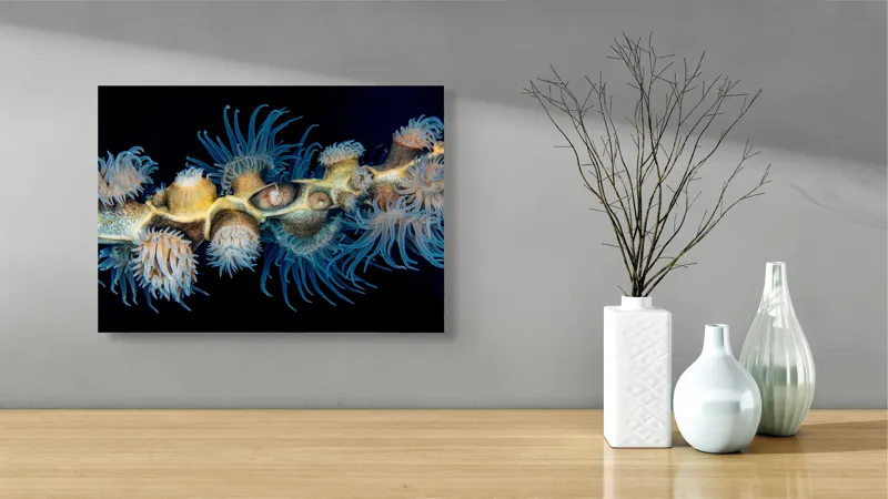 Tablou Canvas, "Dansul exotic al coralilor subacvatici", Flori, Coral, Tentacule, Albastru, Marin, Complexitate, Frumusețe, Natură, Biodiversitate, Ocean., 54 x 39 cm – poza 3