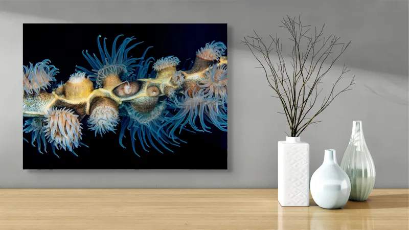 Tablou Canvas, "Dansul exotic al coralilor subacvatici", Flori, Coral, Tentacule, Albastru, Marin, Complexitate, Frumusețe, Natură, Biodiversitate, Ocean., 70 x 50 cm – poza 3