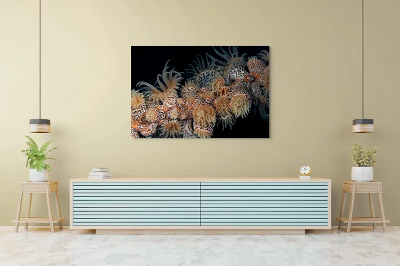 Tablou Canvas, "Coral exotic în adâncuri marine", Tentacule, Model, Subacvatic, Texturi, Contrast, Organism, Vibrant, Detaliu, Exotic, Misterios, 150 x 100 cm – poza 6