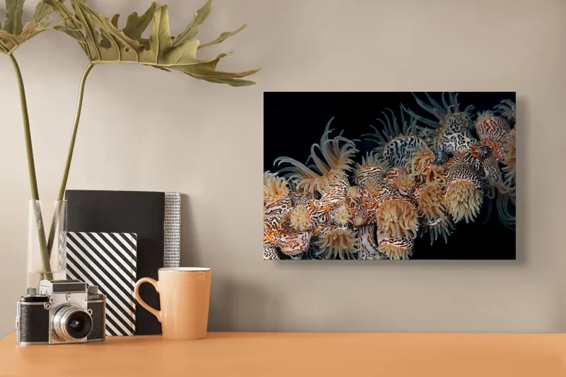 Tablou Canvas, "Coral exotic în adâncuri marine", Tentacule, Model, Subacvatic, Texturi, Contrast, Organism, Vibrant, Detaliu, Exotic, Misterios, 39 x 26 cm – poza 3