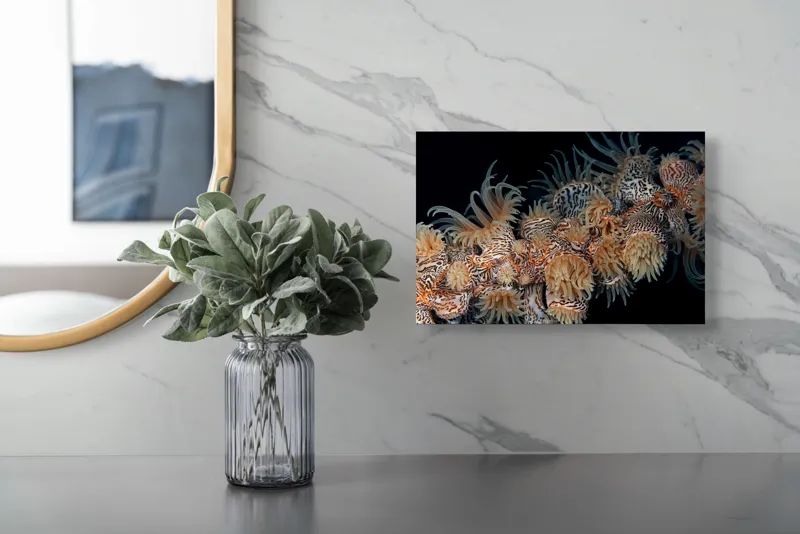 Tablou Canvas, "Coral exotic în adâncuri marine", Tentacule, Model, Subacvatic, Texturi, Contrast, Organism, Vibrant, Detaliu, Exotic, Misterios, 39 x 26 cm – poza 5