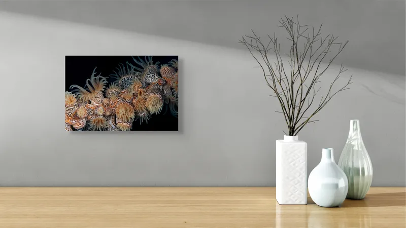 Tablou Canvas, "Coral exotic în adâncuri marine", Tentacule, Model, Subacvatic, Texturi, Contrast, Organism, Vibrant, Detaliu, Exotic, Misterios, 39 x 26 cm – poza 8