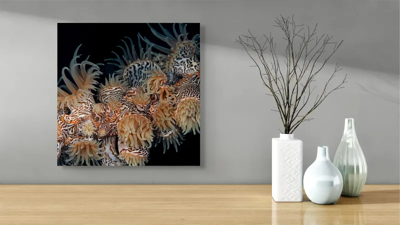 Tablou Canvas, "Coral exotic în adâncuri marine", Tentacule, Model, Subacvatic, Texturi, Contrast, Organism, Vibrant, Detaliu, Exotic, Misterios, 50 x 50 cm – poza 3