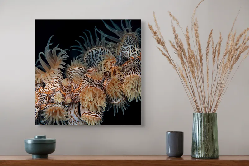 Tablou Canvas, "Coral exotic în adâncuri marine", Tentacule, Model, Subacvatic, Texturi, Contrast, Organism, Vibrant, Detaliu, Exotic, Misterios, 50 x 50 cm – poza 4