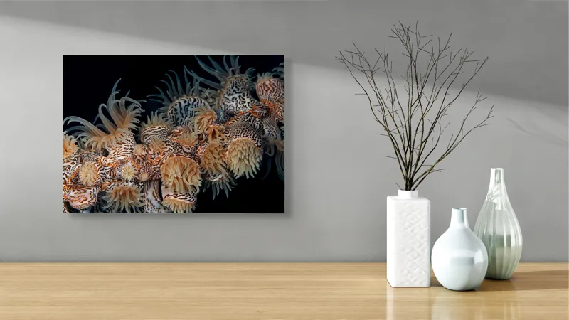 Tablou Canvas, "Coral exotic în adâncuri marine", Tentacule, Model, Subacvatic, Texturi, Contrast, Organism, Vibrant, Detaliu, Exotic, Misterios, 54 x 39 cm – poza 3