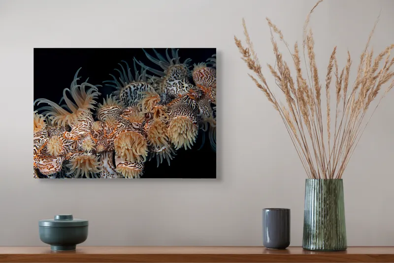 Tablou Canvas, "Coral exotic în adâncuri marine", Tentacule, Model, Subacvatic, Texturi, Contrast, Organism, Vibrant, Detaliu, Exotic, Misterios, 54 x 39 cm – poza 4