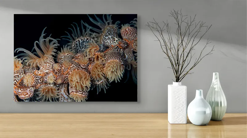 Tablou Canvas, "Coral exotic în adâncuri marine", Tentacule, Model, Subacvatic, Texturi, Contrast, Organism, Vibrant, Detaliu, Exotic, Misterios, 70 x 50 cm – poza 3