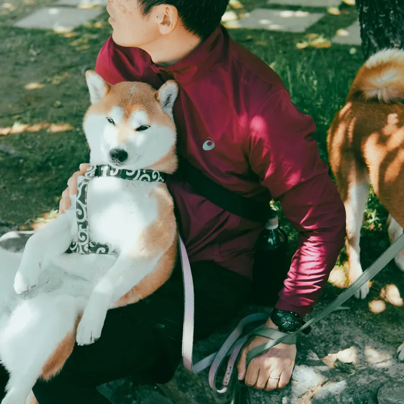 Tablou Canvas, 50 x 50 cm – poza 2