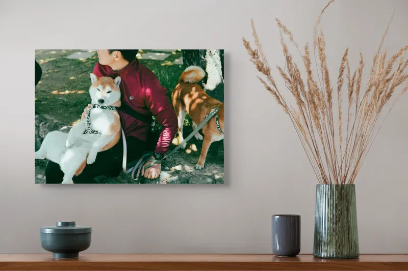 Tablou Canvas, 54 x 39 cm – poza 4