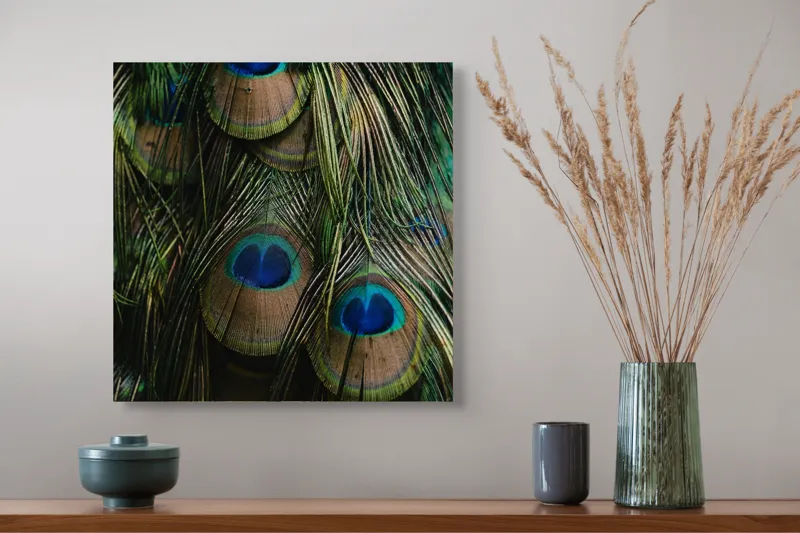 Tablou Canvas, "Ochiul păunului în dansul culorilor", Pene, Colorate, Modele, Detalii, Textura, Frumusete, Albastru, Verde, Natural, Elegant, 50 x 50 cm – poza 4