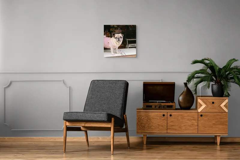 Tablou Canvas, "Mops în hanorac roz pe masă", Scump, Pug, Hainuță, Roz, Privire, Curioasă, Magazin, Sticlă, Apă, Rasă, Catel, Blană, Dulce., 50 x 50 cm – poza 6
