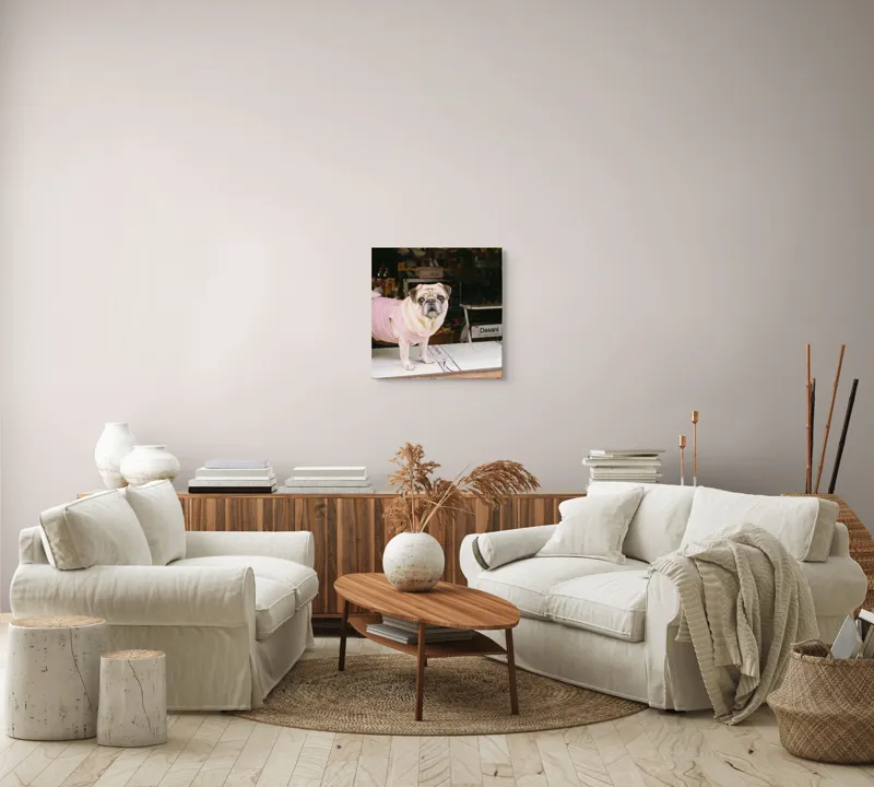Tablou Canvas, "Mops în hanorac roz pe masă", Scump, Pug, Hainuță, Roz, Privire, Curioasă, Magazin, Sticlă, Apă, Rasă, Catel, Blană, Dulce., 50 x 50 cm – poza 7