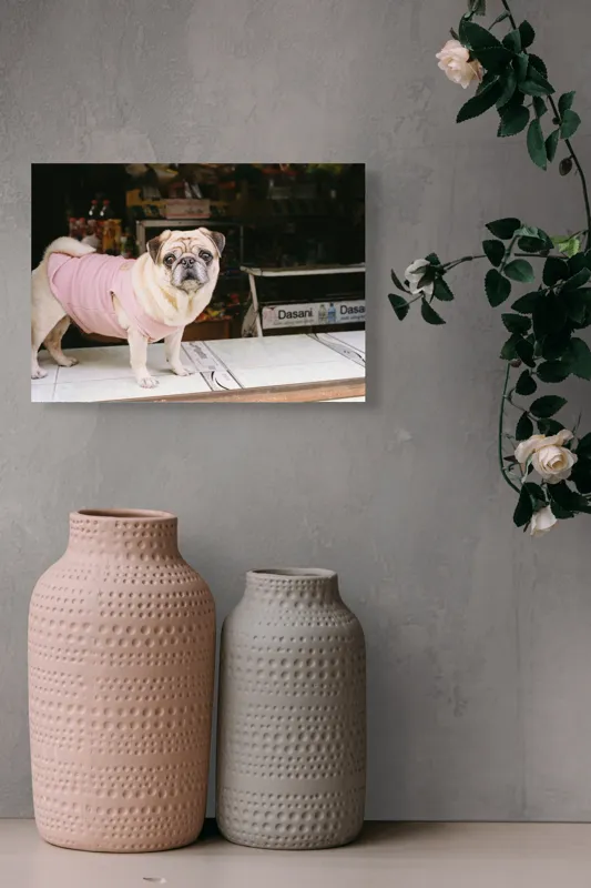 Tablou Canvas, "Mops în hanorac roz pe masă", Scump, Pug, Hainuță, Roz, Privire, Curioasă, Magazin, Sticlă, Apă, Rasă, Catel, Blană, Dulce., 54 x 39 cm – poza 8