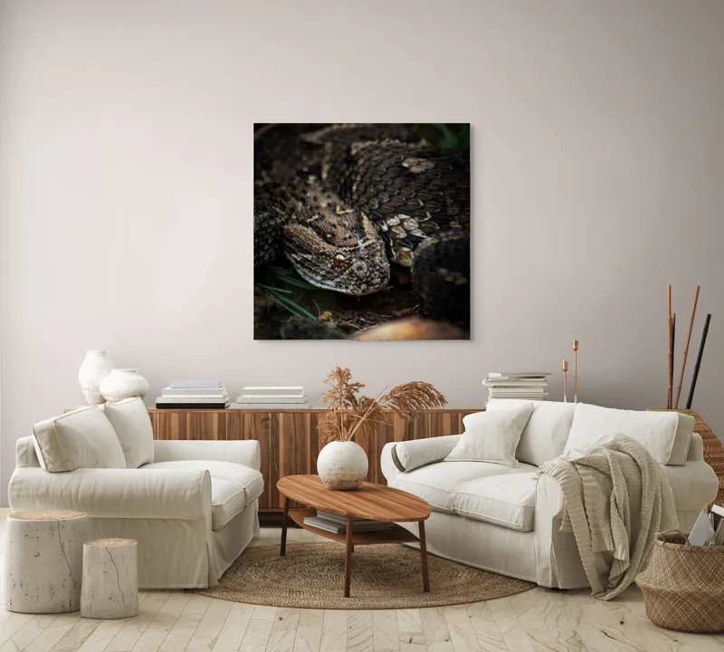 Tablou Canvas, "Șarpele ascuns în iarba densă", Șarpe, Solzi, Ochi, Culoare, Textură, Natură, Verde, Sol, Cădere, 100 x 100 cm – poza 3