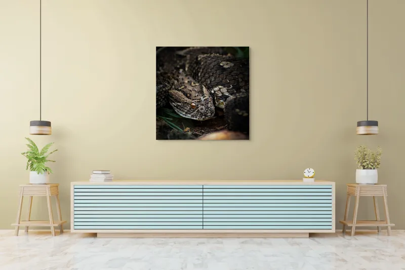 Tablou Canvas, "Șarpele ascuns în iarba densă", Șarpe, Solzi, Ochi, Culoare, Textură, Natură, Verde, Sol, Cădere, 100 x 100 cm – poza 5