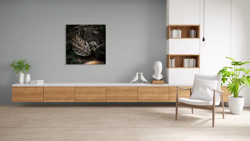 Tablou Canvas, "Șarpele ascuns în iarba densă", Șarpe, Solzi, Ochi, Culoare, Textură, Natură, Verde, Sol, Cădere, 100 x 100 cm – poza 8