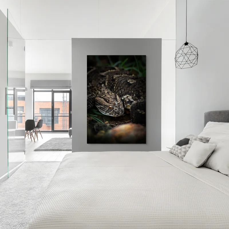 Tablou Canvas, "Șarpele ascuns în iarba densă", Șarpe, Solzi, Ochi, Culoare, Textură, Natură, Verde, Sol, Cădere, 100 x 150 cm – poza 5