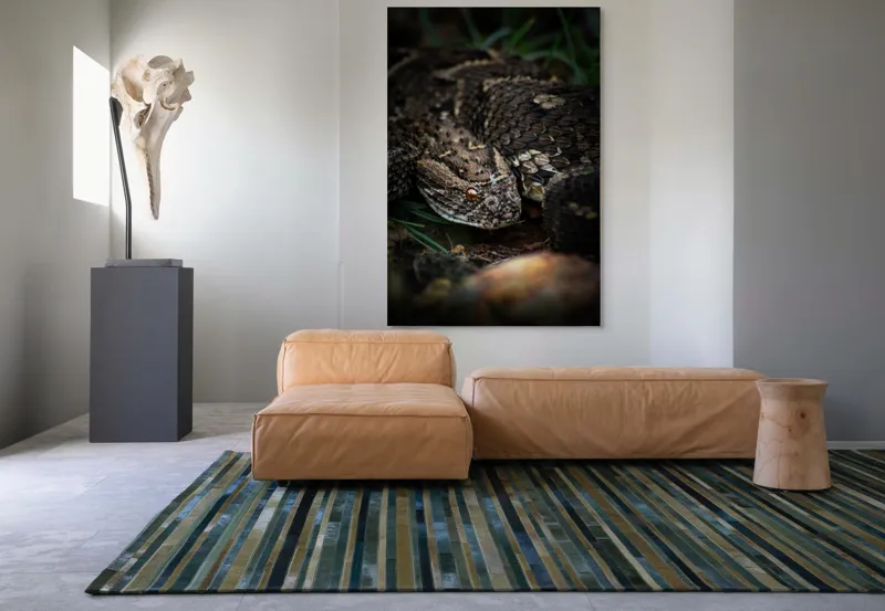 Tablou Canvas, "Șarpele ascuns în iarba densă", Șarpe, Solzi, Ochi, Culoare, Textură, Natură, Verde, Sol, Cădere, 100 x 150 cm – poza 7
