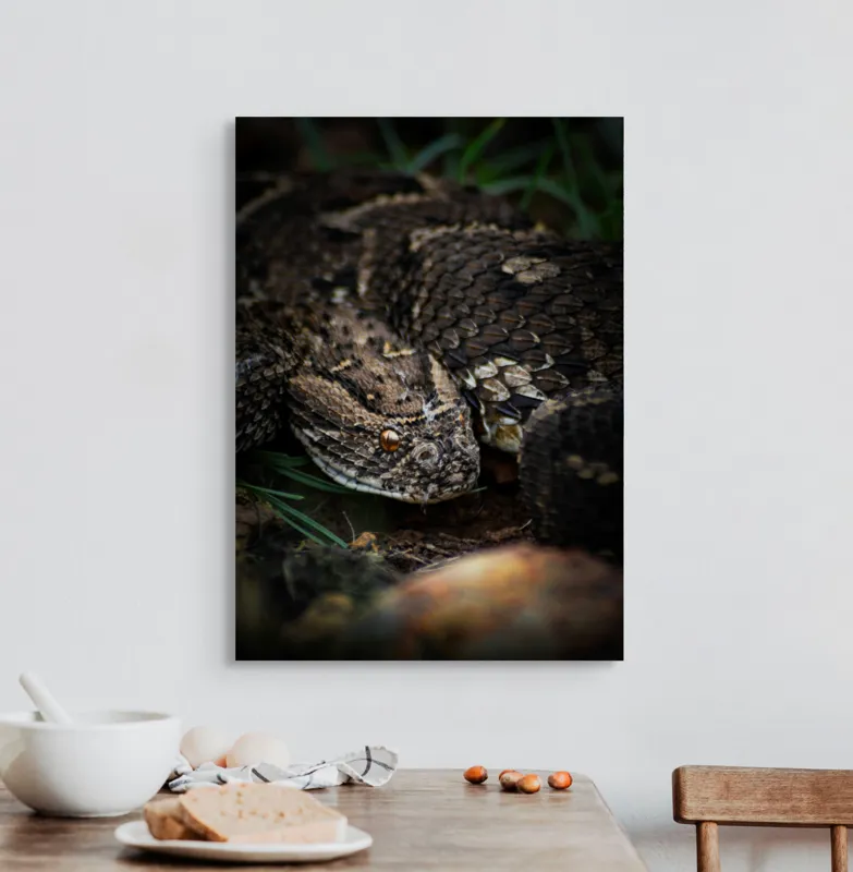 Tablou Canvas, "Șarpele ascuns în iarba densă", Șarpe, Solzi, Ochi, Culoare, Textură, Natură, Verde, Sol, Cădere, 50 x 70 cm – poza 3