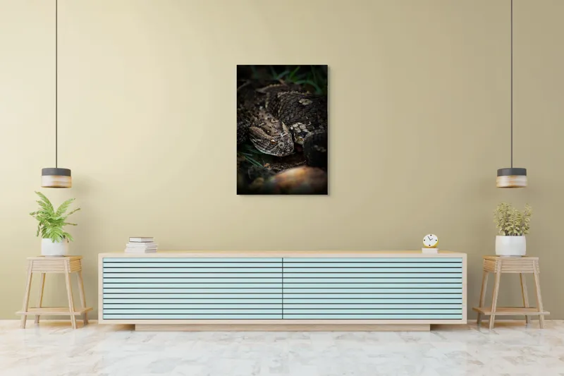 Tablou Canvas, "Șarpele ascuns în iarba densă", Șarpe, Solzi, Ochi, Culoare, Textură, Natură, Verde, Sol, Cădere, 70 x 100 cm – poza 5