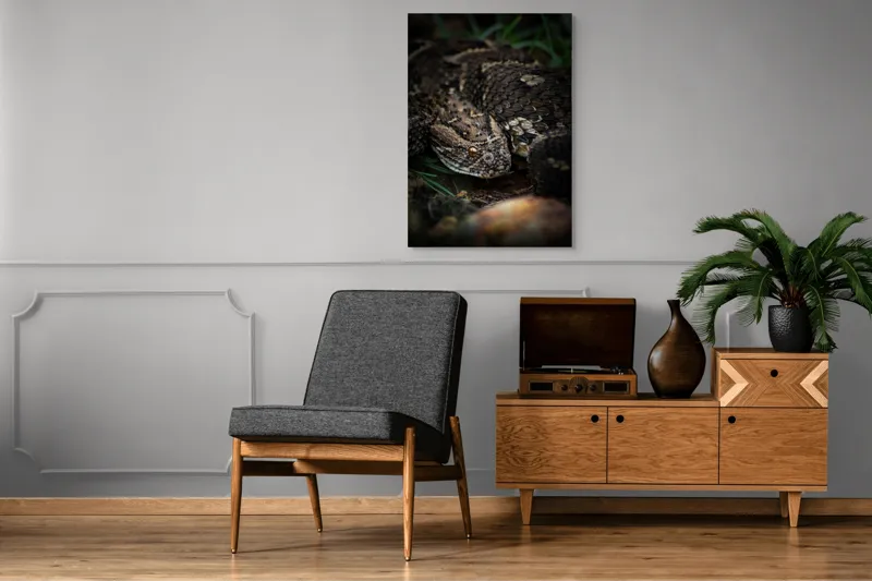 Tablou Canvas, "Șarpele ascuns în iarba densă", Șarpe, Solzi, Ochi, Culoare, Textură, Natură, Verde, Sol, Cădere, 70 x 100 cm – poza 6