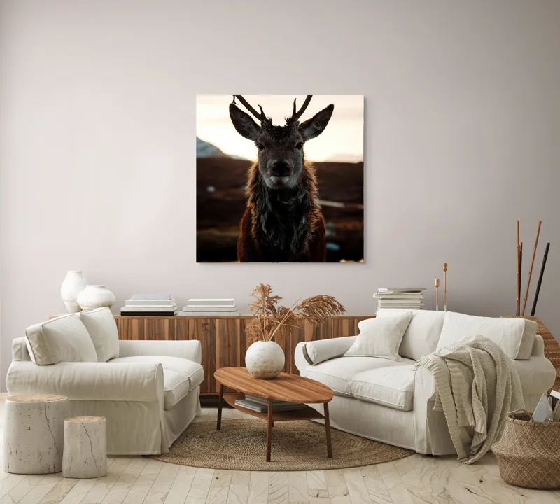 Tablou Canvas, "Cerbul măreț în lumina apusului", Nu pot să identific cine este în imagine., 100 x 100 cm – poza 3