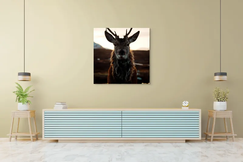 Tablou Canvas, "Cerbul măreț în lumina apusului", Nu pot să identific cine este în imagine., 100 x 100 cm – poza 5